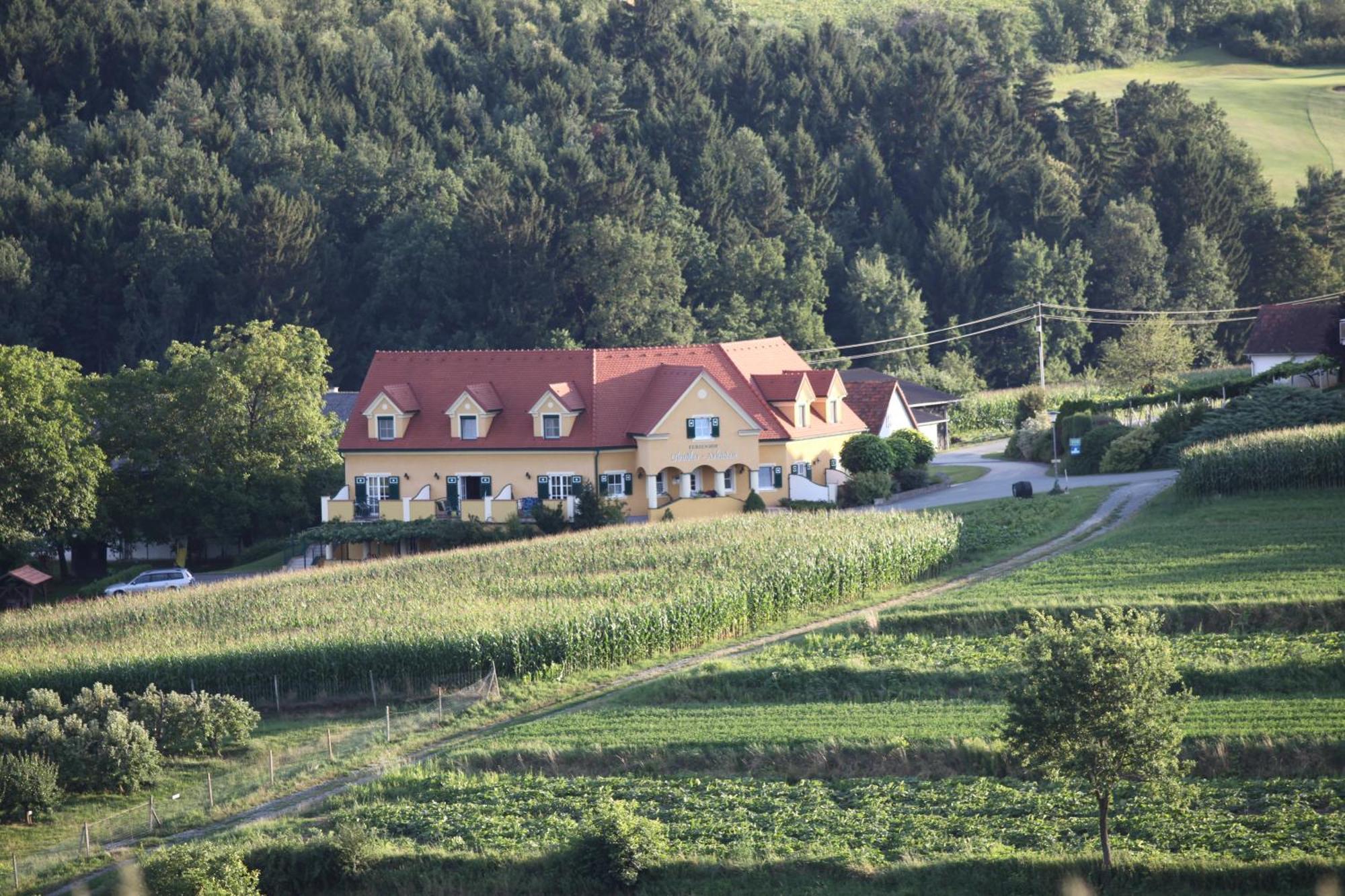 Ferienhof Uhudler-Arkaden Штегерсбах Номер фото